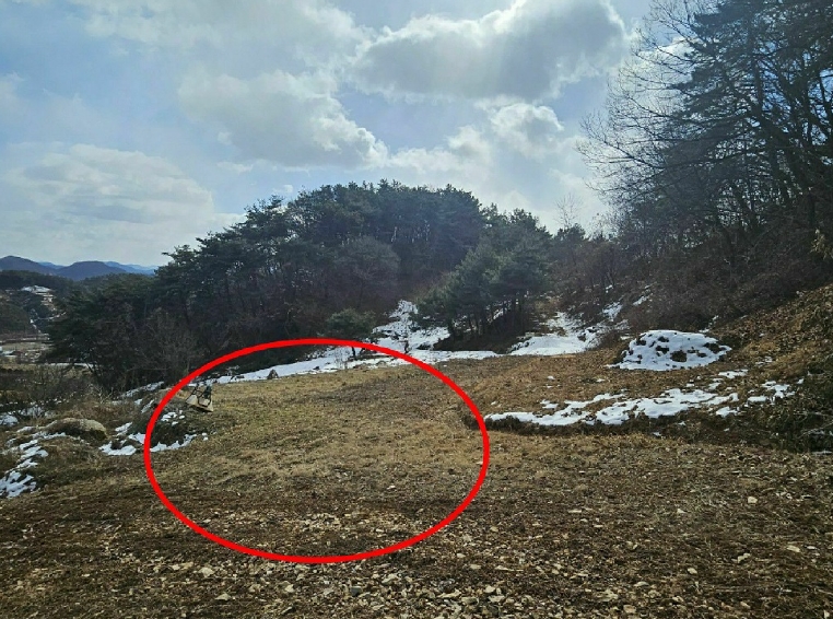 2025타경20118 경매 물건 대표 사진