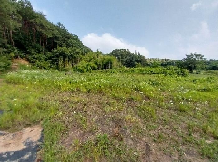 2025타경20258 공주지원 대지,임야,전답 법원경매 사진