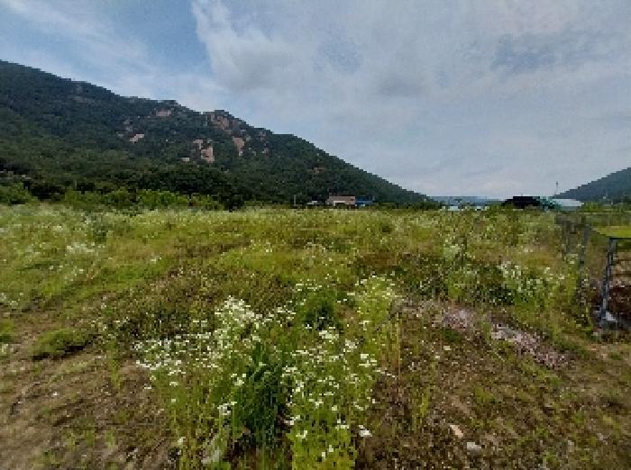 2025타경20288 경매 물건 대표 사진