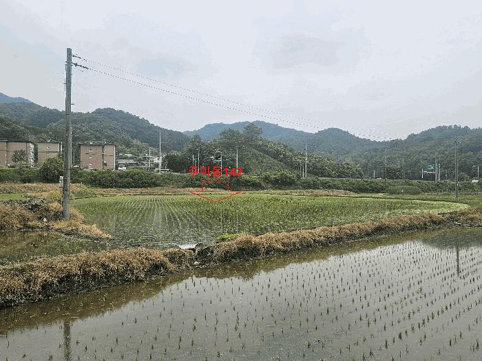 2025타경20292 경매 물건 대표 사진