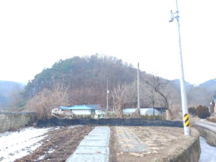 2025타경46 경매 물건 대표 사진