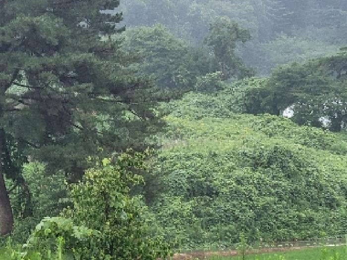 2025타경71 경매 물건 대표 사진