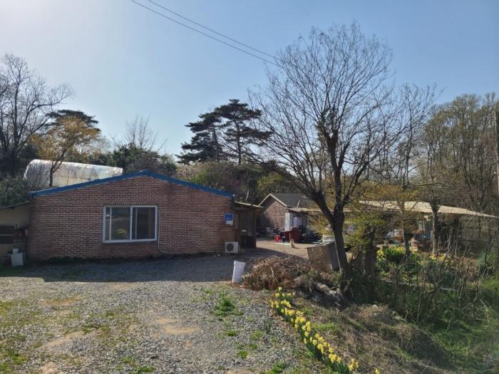 2023타경51586 서산지원 전답 법원경매 사진
