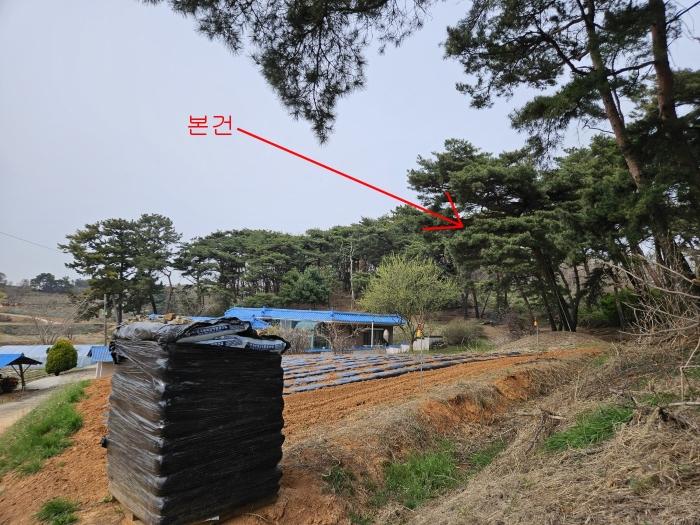 2024타경1250 경매 물건 대표 사진