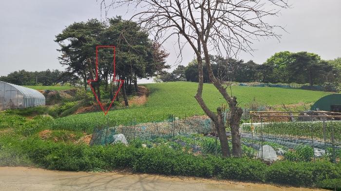2024타경1724 경매 물건 대표 사진
