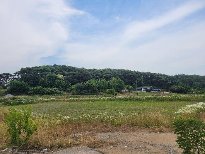 2024타경2307 서산지원 전 법원경매 사진