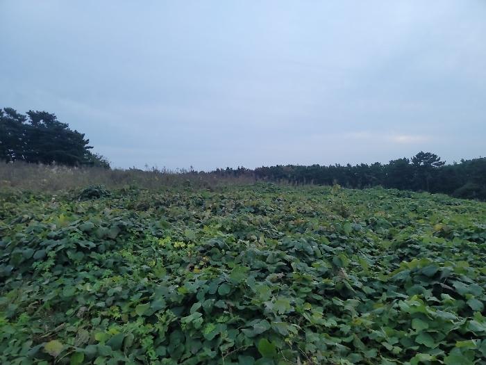 2024타경4464 경매 물건 대표 사진