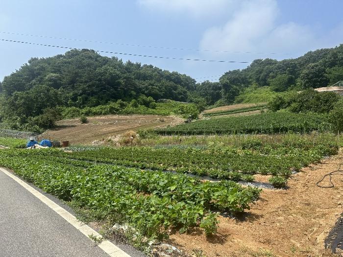 2024타경55776 경매 물건 대표 사진