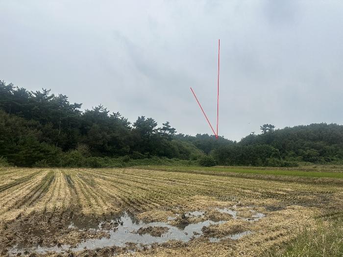 2024타경57369 경매 물건 대표 사진