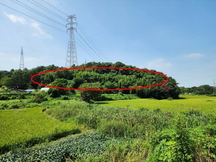 2024타경57758 경매 물건 대표 사진
