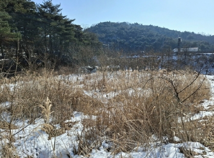 2025타경421 경매 물건 대표 사진