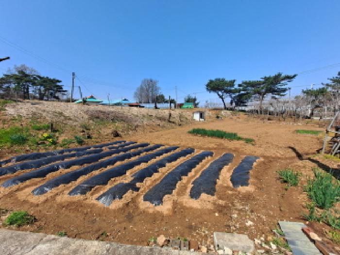 2025타경51145 경매 물건 대표 사진