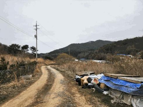 2025타경51155 경매 물건 대표 사진