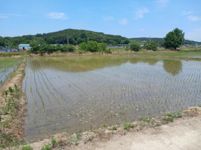 2025타경51367 경매 물건 대표 사진
