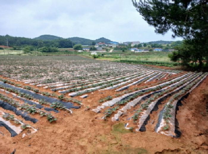 2025타경51418 경매 물건 대표 사진