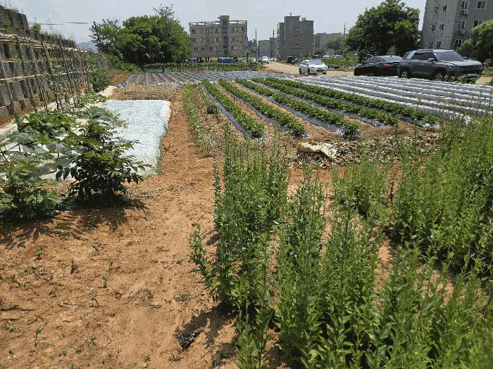 2025타경51420 경매 물건 대표 사진