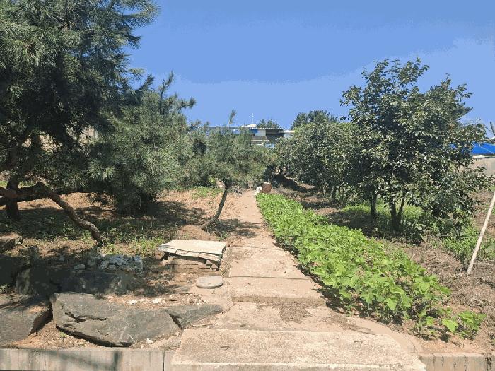 2025타경51529 경매 물건 대표 사진