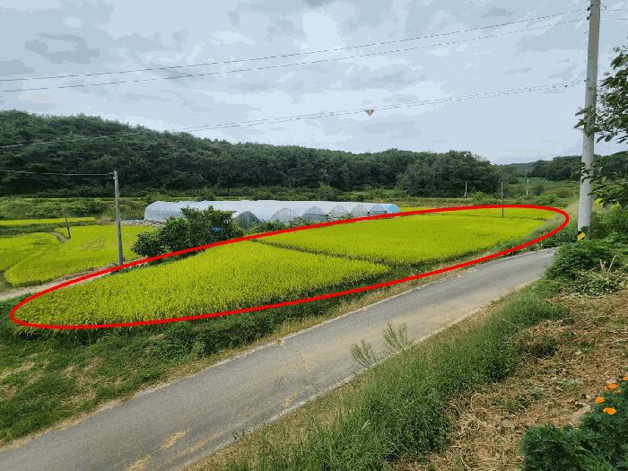 2025타경51732 경매 물건 대표 사진