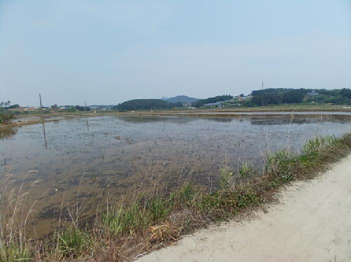 2025타경650 경매 물건 대표 사진