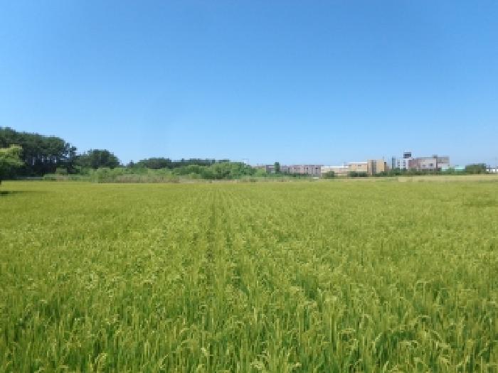 2025타경738 경매 물건 대표 사진