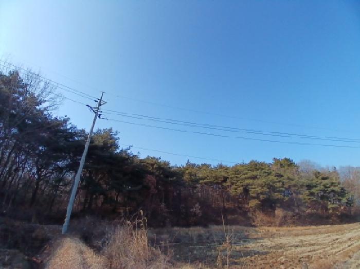 2025타경87 경매 물건 대표 사진