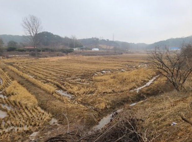 2025타경94 경매 물건 대표 사진