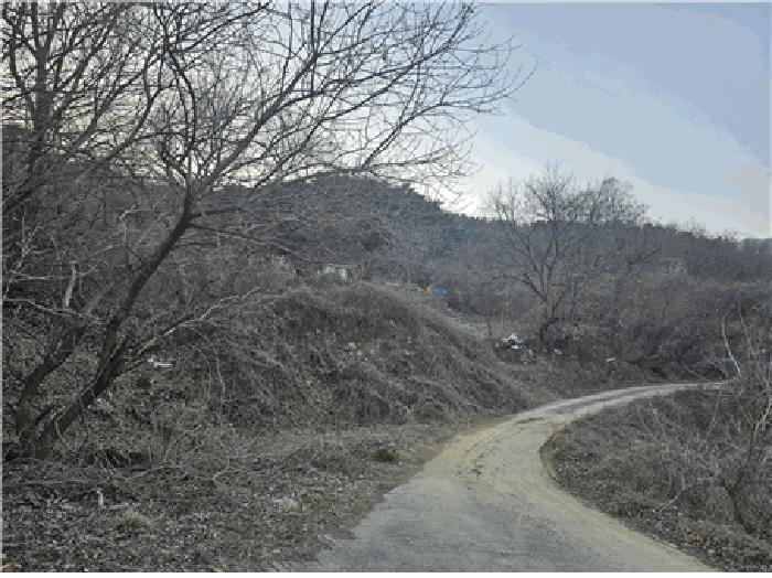 2024타경101957 경매 물건 대표 사진