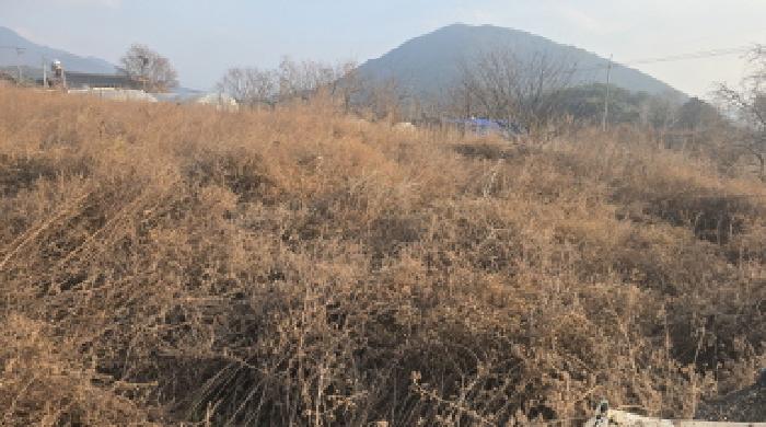 2025타경1255 경매 물건 대표 사진