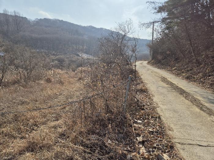 2025타경5100 경매 물건 대표 사진