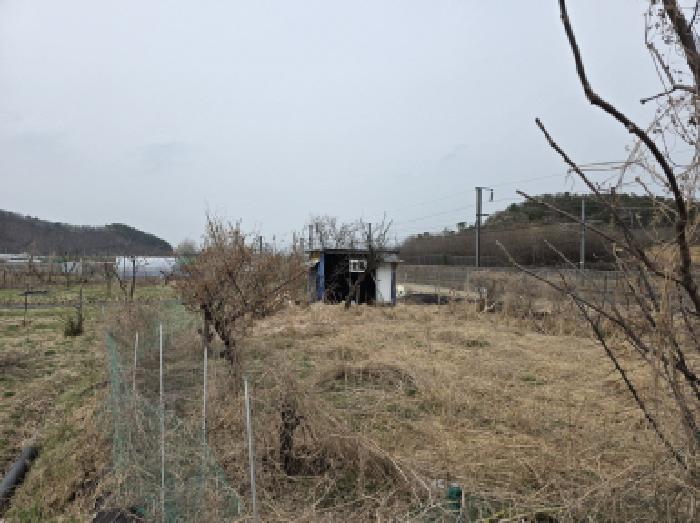 2025타경592 대구지방법원 전답 법원경매 사진