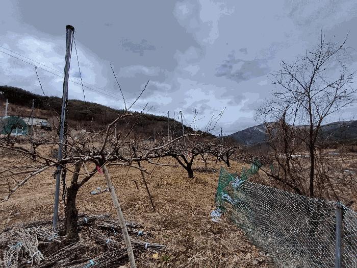 2025타경7319 경매 물건 대표 사진