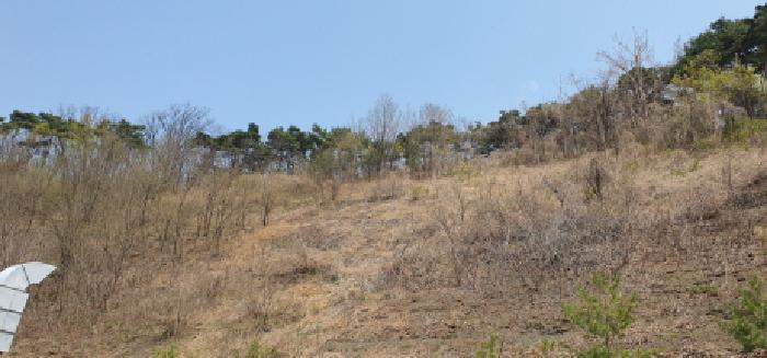 2025타경7560 경매 물건 대표 사진