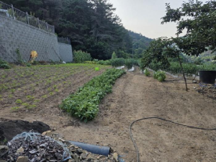 2025타경7996 경매 물건 대표 사진