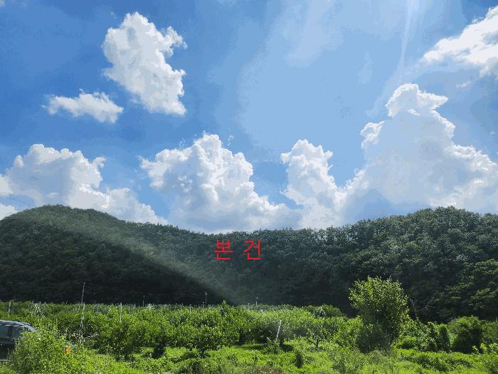 2025타경8800 경매 물건 대표 사진