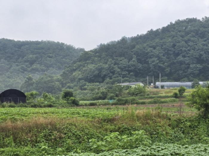 2025타경890 경매 물건 대표 사진
