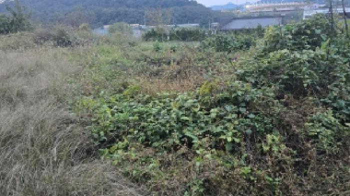 2025타경9180 경매 물건 대표 사진