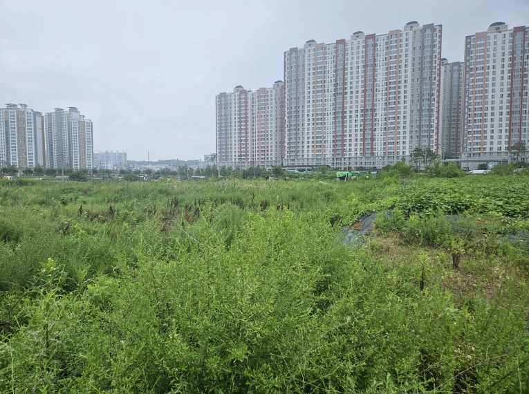 2025타경9393 대구지방법원 전답 법원경매 사진