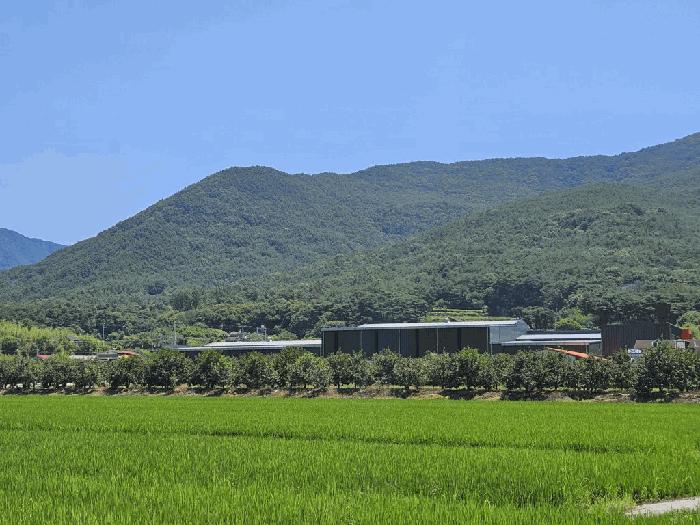 2025타경967 경매 물건 대표 사진