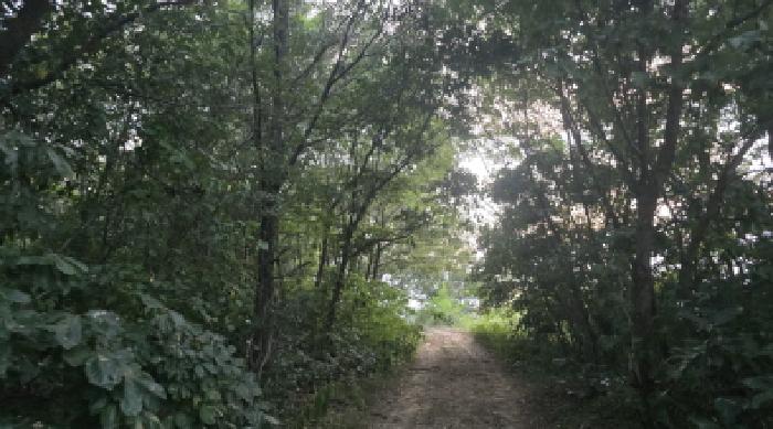 2025타경993 경매 물건 대표 사진