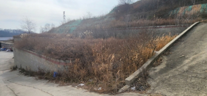 2024타경104201 안동지원 대지 법원경매 사진