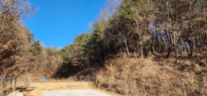 2024타경104393 경매 물건 대표 사진