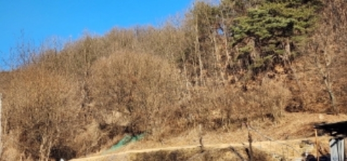 2024타경104393 경매 물건 대표 사진