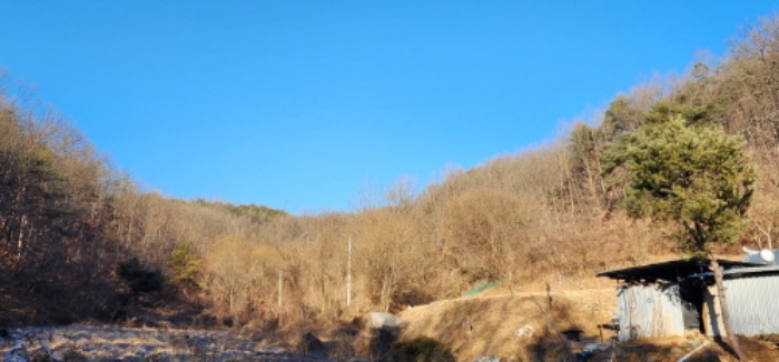 2024타경104393 경매 물건 대표 사진
