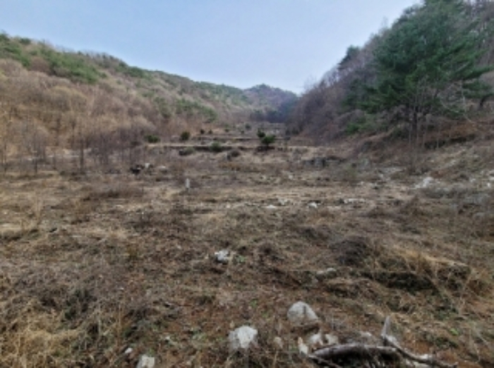 2024타경491 안동지원 임야 법원경매 사진