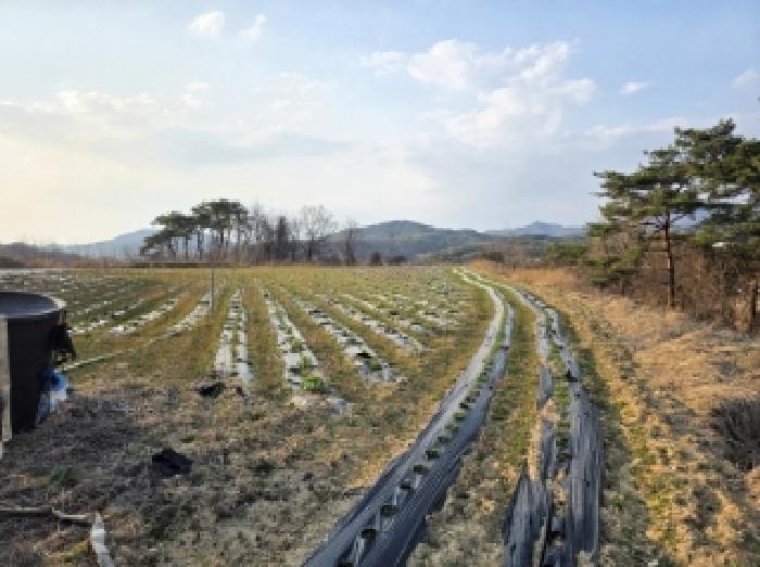 2025타경100300 경매 물건 대표 사진