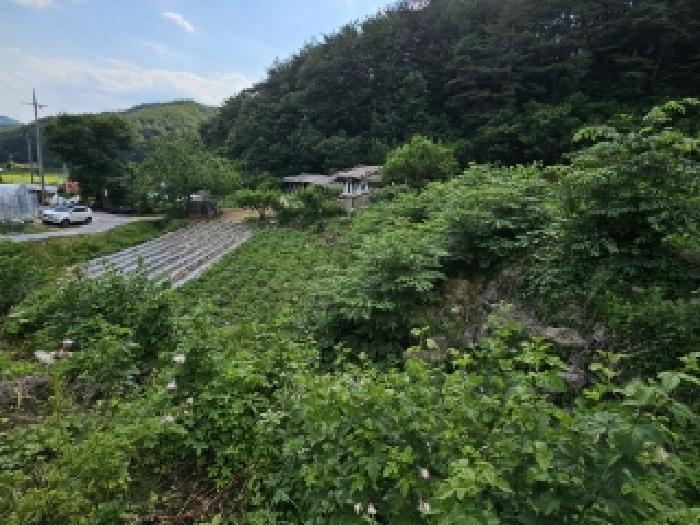2025타경100391 경매 물건 대표 사진
