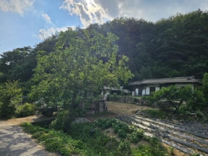 2025타경100391 안동지원 전답 법원경매 사진