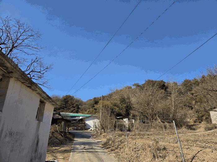 2025타경10068 경매 물건 대표 사진
