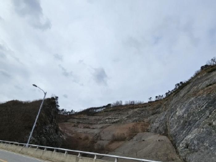 2025타경10174 안동지원 임야 법원경매 사진