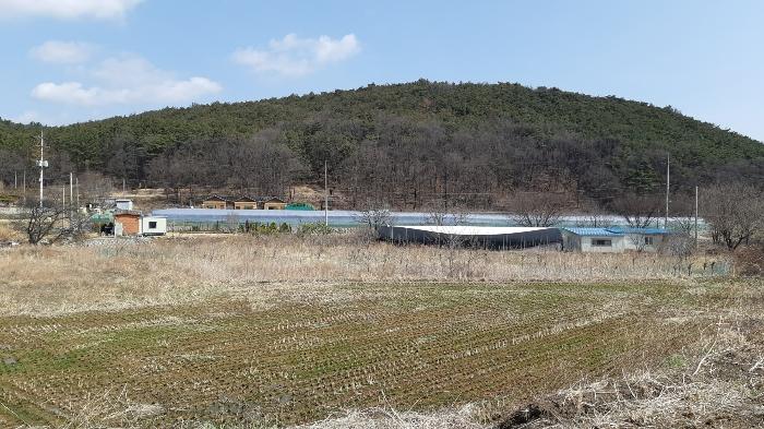 2024타경10743 경매 물건 대표 사진